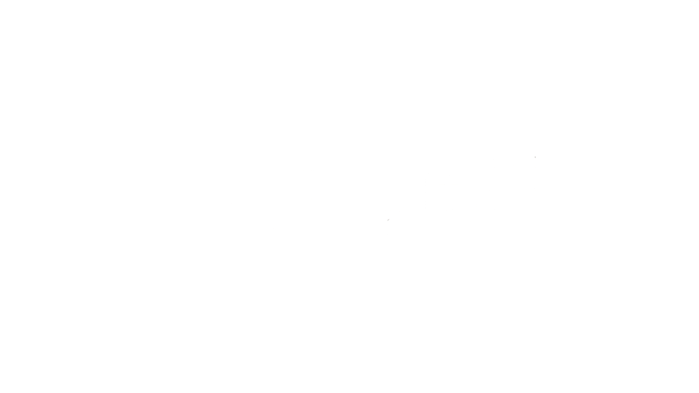 BS Group · Business Solutions Group
